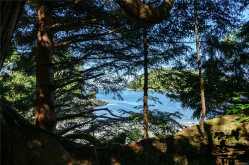261 Cedar St, Tofino, BC 