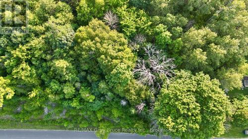 32 Helen Street, Northern Bruce Peninsula, ON 