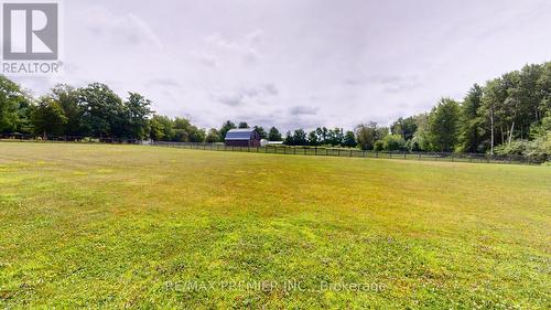 253 Morning Side Road, East Gwillimbury, ON - Outdoor With View