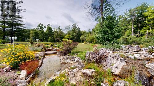 253 Morning Side Road, East Gwillimbury, ON - Outdoor