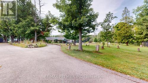 253 Morning Side Road, East Gwillimbury, ON - Outdoor