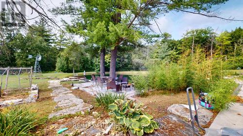 253 Morning Side Road, East Gwillimbury, ON - Outdoor