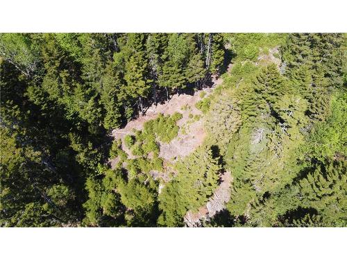 0 Shore Rd, St George, NB 