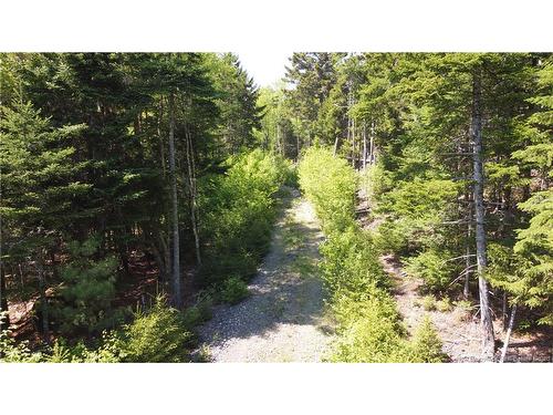 0 Shore Rd, St George, NB 