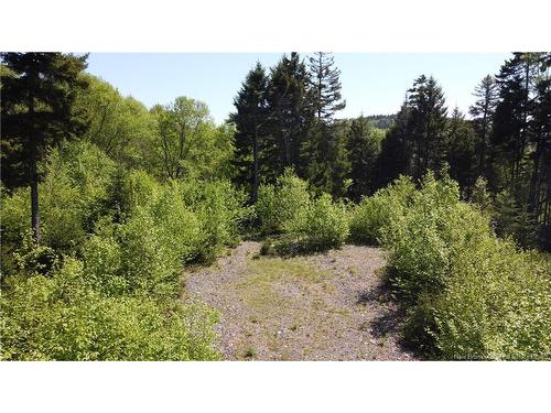 0 Shore Rd, St George, NB 