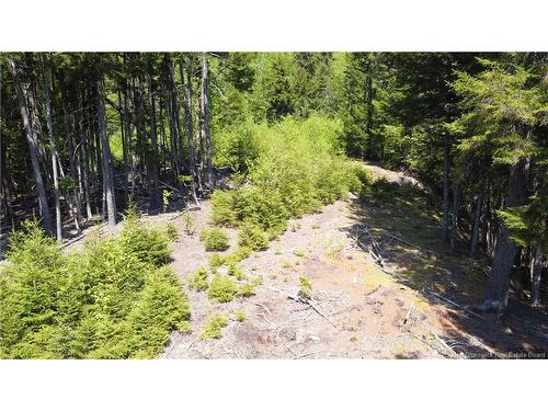 0 Shore Rd, St George, NB 