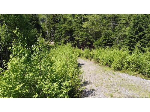 0 Shore Rd, St George, NB 