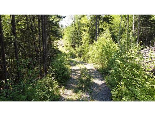 0 Shore Rd, St George, NB 