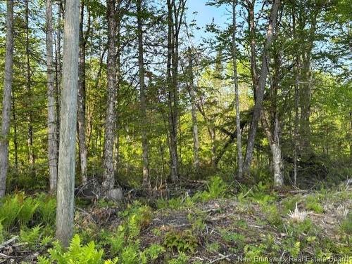 000 Upper Tower Hill Rd, Tower Hill, NB 