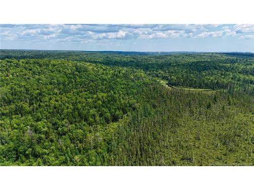 00 740 Rte, Basswood Ridge, NB 