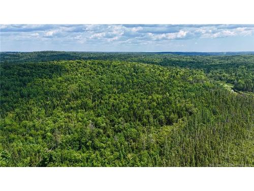 00 740 Rte, Basswood Ridge, NB 