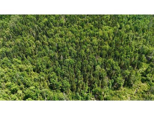 00 740 Rte, Basswood Ridge, NB 