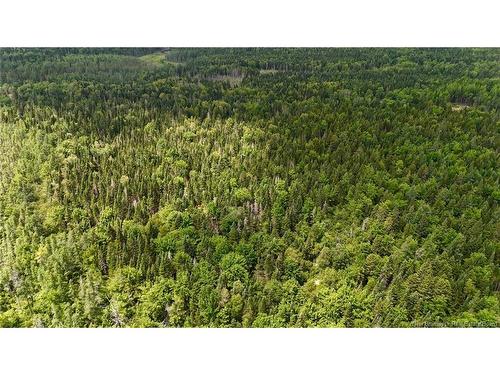 00 740 Rte, Basswood Ridge, NB 