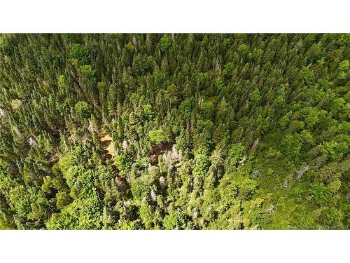 00 740 Rte, Basswood Ridge, NB 