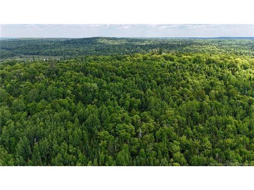 00 740 Rte, Basswood Ridge, NB 