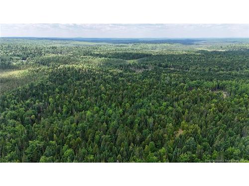 00 740 Rte, Basswood Ridge, NB 