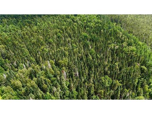 00 740 Rte, Basswood Ridge, NB 