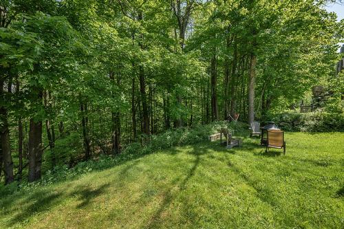 Vue - 134  - 134A Ch. Bernier, Sutton, QC - Outdoor