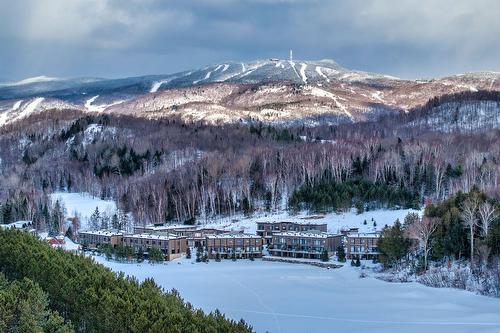 Face arrière - 402 Allée De L'Académie, Mont-Tremblant, QC 