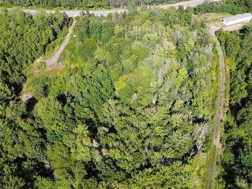Highway 245, Maryvale, NS 
