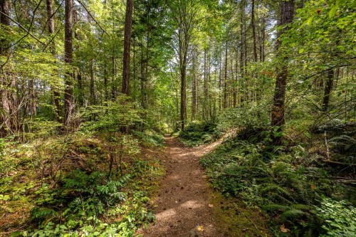 Lt 15 Serenity Dr, Merville, BC 