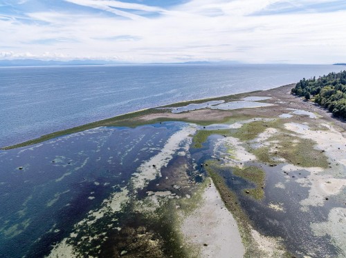 Lt 15 Serenity Dr, Merville, BC 