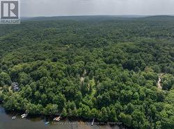 1059 DUNN ROAD  Dysart Et Al (Harburn), ON K0M 1S0