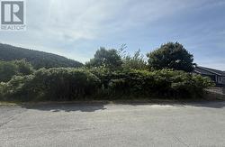 6-8 Tunis Street  Placentia, NL A0B 2Y0