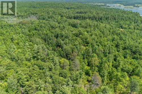 0 Mcgrath Road, Bonnechere Valley, ON 