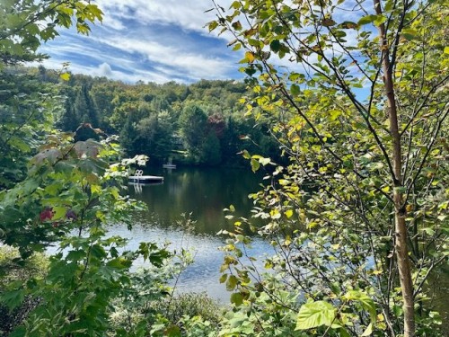 Accès au plan d'eau - 465E Avenue, Saint-Hippolyte, QC 