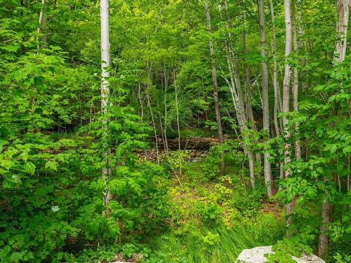 Lot 1438 River Road, Bear River, NS 