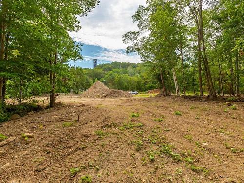 Lot 1438 River Road, Bear River, NS 