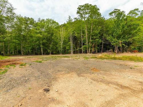 Lot 1438 River Road, Bear River, NS 