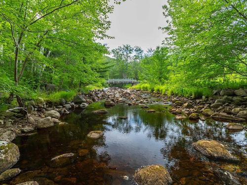 Lot 1438 River Road, Bear River, NS 