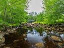 Lot 1438 River Road, Bear River, NS 