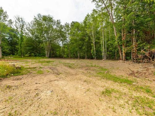Lot 1438 River Road, Bear River, NS 