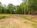 Lot 1438 River Road, Bear River, NS 