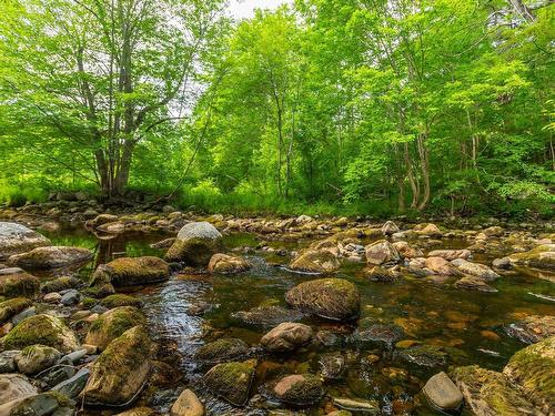 Lot 1438 River Road, Bear River, NS 
