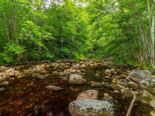 Lot 1438 River Road, Bear River, NS 