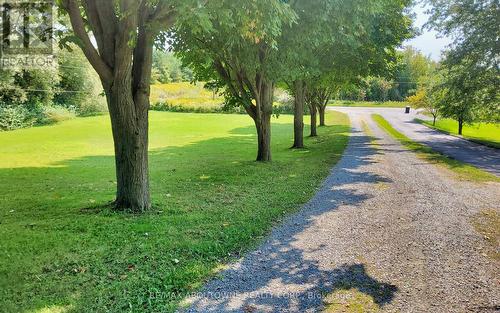 2386 4Th Line, Innisfil, ON - Outdoor With View