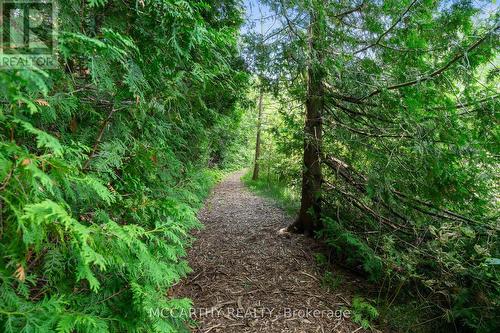 21 Mccutcheon Road, Mulmur, ON - Outdoor