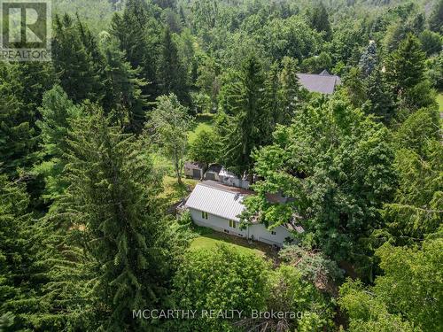 21 Mccutcheon Road, Mulmur, ON - Outdoor