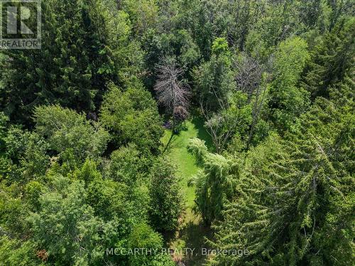 21 Mccutcheon Road, Mulmur, ON - Outdoor