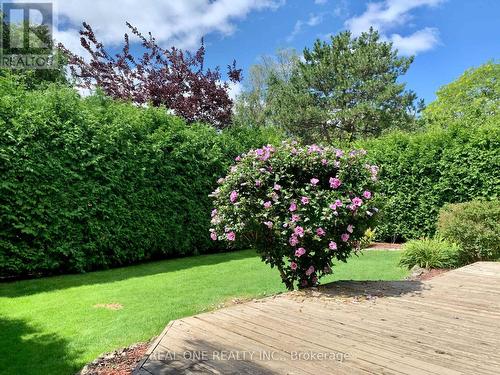 Backyard - Upper Unit - 1759 Sherwood Forrest Circle, Mississauga, ON - Outdoor With Deck Patio Veranda