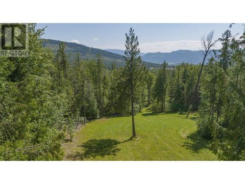 296 Trinity Valley Road, Lumby, BC - Outdoor With View