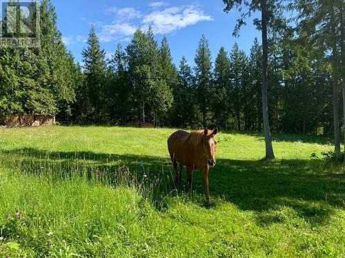 296 Trinity Valley Road, Lumby, BC - Outdoor