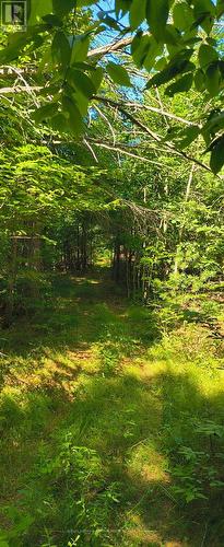 0000 Highway 7, Addington Highlands (Addington Highlands), ON 