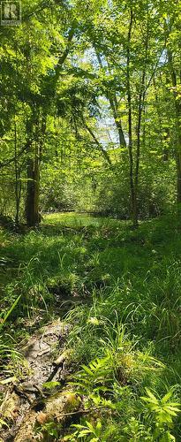 0000 Highway 7, Addington Highlands (Addington Highlands), ON 