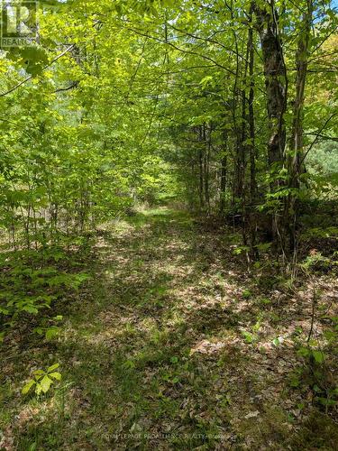 0000 Highway 7, Addington Highlands (Addington Highlands), ON 