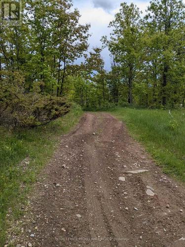 0000 Highway 7, Addington Highlands (Addington Highlands), ON 